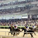 소베라니아 이미지