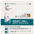 24시 숨 동물병원 이미지