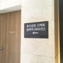 동백호수공원(광장) | 동백호수공원 아침 산책, 동백 산책로 걸으며 찾은 동백 가볼만한곳