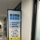 정자현대동물병원 네이버블로그