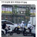 무궁화꽃이피었습니다 이미지