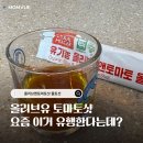 엘비라이프 | 30대 건강 관리 필수템! 네츄럴올가 올토샷 공복 올리브유 먹는방법 추천