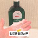 메디풀 | 밀도랩 메디풀 샴푸 후기 탈모 약산성 추천