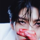 더레오 이미지
