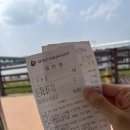 화원유원지 | [play] 대구 화원유원지 유람선 및 주막카페 주막촌 식당 후기