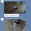 앙쥬레브 애견호텔&애견유치원 송도점 이미지