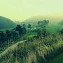 금강컨트리클럽 이미지