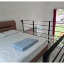 딩동댕애견스파풀빌라 이미지