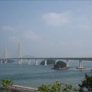 거금 Daum카페