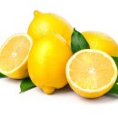 닥터모락(부천상동점) 이미지