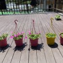 사비지역아동센터 이미지