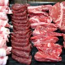 소한마리 이미지