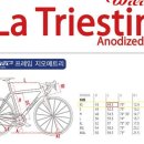 에스티나 이미지