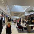 대야카센타 이미지