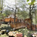 신라체인 이미지