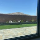 시우사랑 이미지