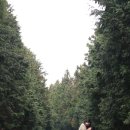 해돌목장 이미지