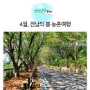 금오도 방풍마을영농조합법인 | 4월, 꽃향기 가득한 봄 농촌 여행도 역시 전라남도죠~?