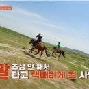 뉴페이스차이나 이미지