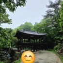 제101차 정기산행 2025년11월23일 순천 "조계산 888m" 이미지
