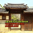 매화도서관 | 안국역 5곳 매화 목련 명소 서울 종로 봄꽃 개화상황