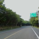 산록1 이미지