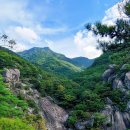 양지-3306 이미지