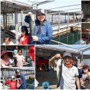 중앙호좌대 이미지