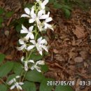 율치목장 이미지