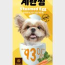 앤더독 네이버블로그