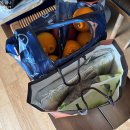 2177 | 망원동 상실이네+2177 발목골절수술 1405일, 핀제거수술 919일 이고지고 상경!