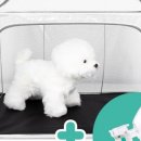 오투산소방 이미지