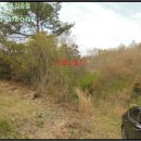 예곡리마을회관 이미지