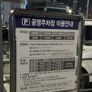 더미양 이미지