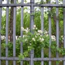 다사랑약국 이미지