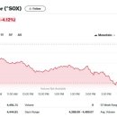 엔비디아 10% 폭락, 필라델피아반도체지수 4.12% 급락 이미지