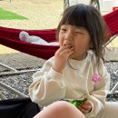 토마토앤김밥 | 서울근교캠핑 수영장 트램펄린 아이들이 즐거운 포천 레인보우캠핑장 S1