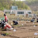 구민농장 이미지