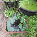 허굴산장 이미지