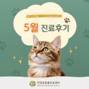 안양본동물의료센터 5월 진료후기, 안양24시동물병원