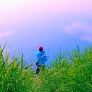 새하양세탁소 이미지