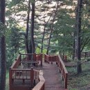 봉수산자연휴양림 티스토리