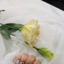 달콤네일/스킨스토리 이미지