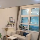 신이비인후과의원 이미지