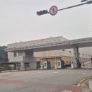 비류대로 | 인천 남촌농산물도매시장, 엄마 심부름 건고추 판매여부 및 시세 (채소 소매 구매후기)