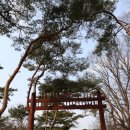 천흥통상 | [龍珠寺(용주사)] / 정조의 효심이 깃든 사찰(경기도 화성시 용주로)