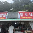 뚱보네 집 | 부산 조개구이 가성비 끝판왕, 치즈에 진심인 뚱보네 내돈내산 방문 후기