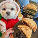 헤이리로(헤이리맞은편 1번게이트) | 파주 헤이리 카페 베스트 TOP 10 추천