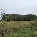 예우랑양지뜰추어탕 이미지