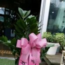 착한7주유소 이미지